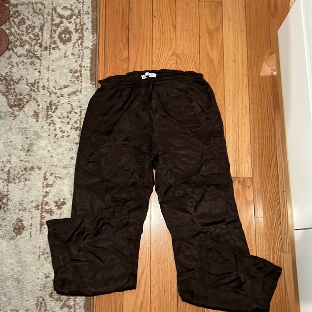 Zara Silky Pants in Brown